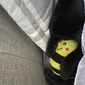 Meet your Posher, Lily